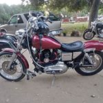 Profile Picture of Bob Rosenberger (@tujungabob) on Instagram