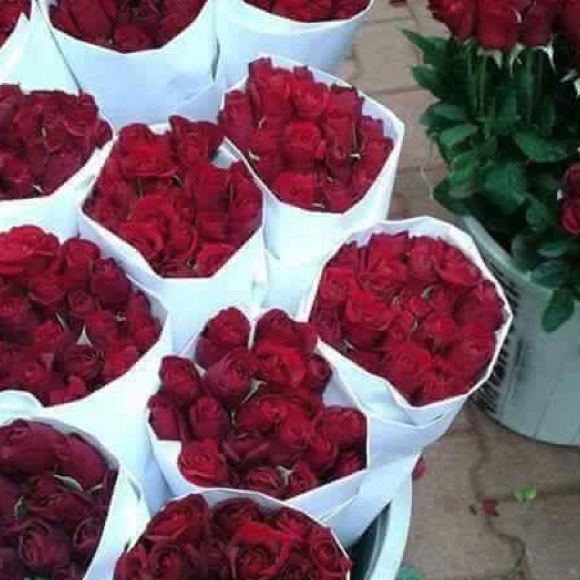 Profile Picture of Yasmin Zorba (@yasmeen1981) on Poshmark