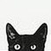 Profile Picture of Debi Feistkorn (@debi-feistkorn) on Quora