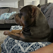 Profile Picture of Kevin Littlejohn (@kevinlittlejohn4491) on Youtube