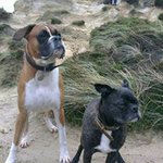 Profile Picture of Andrew Rawlings (@andrew.rawlings.77) on Instagram