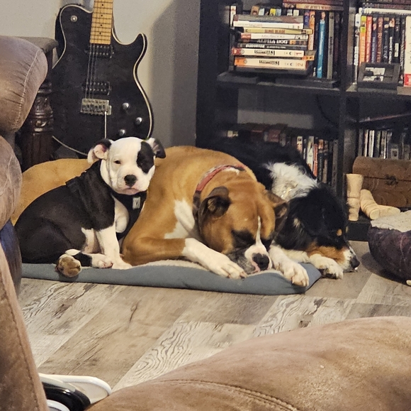 Profile Picture of Whitney Rains (@wleannr12) on Poshmark