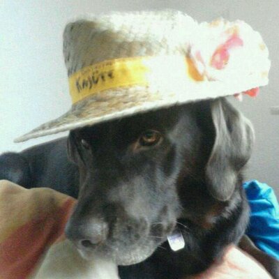 Profile Picture of Daniel Schönberg (@danielsn102) on Twitter