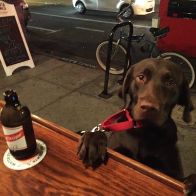 Profile Picture of Sean Minogue (@shaneminoog) on Twitter