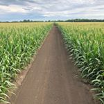 Profile Picture of Sean Warkentin (@seanwarkentin_13) on Instagram