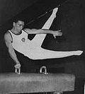 Profile Picture of Angelo Vicardion Wikipedia