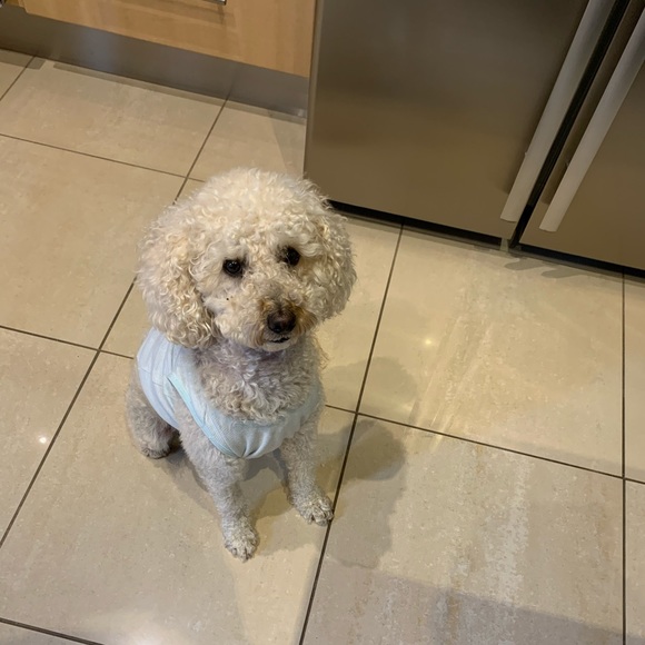 Profile Picture of Maria Salvatore (@msalvatore07) on Poshmark