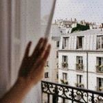 Profile Picture of Trena Falke (@zhijunleyendecker) on Instagram