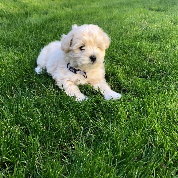 Profile Picture of Iris Quintero (@irisquintero) on Poshmark