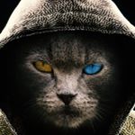 Profile Picture of Kevin Varela Fondo (@k.v.f2006) on Instagram