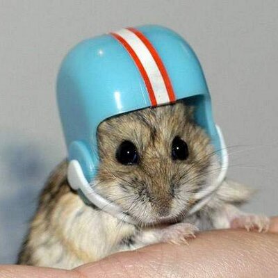 Profile Picture of Stephen Garside (@iron_fist_1964) on Twitter