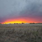 Profile Picture of Kevin Lokey (@buddy_riggs_stock_contracting) on Instagram