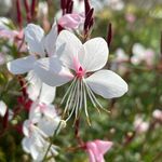 まり - Instagram Profile Picture of まり (@mari_tanaka_san) on Instagram