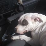 Profile Picture of Jerry Case (@jerrycase127) on Instagram