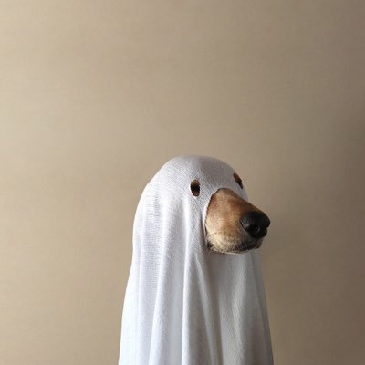 Profile Picture of Ian Schaeffer (@puddleofsalt) on Twitter