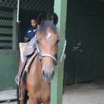 Profile Picture of Roderick Dashon Reedy (@roderickdashon) on Instagram