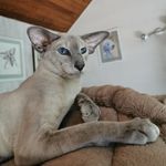 Profile Picture of Marie Helene Thomas (@mh.thomas52) on Instagram