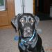 Profile Picture of Patsy Warnetsky (@patsy.warnetsky) on Facebook