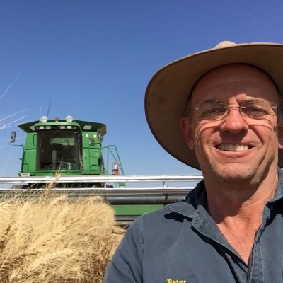 Profile Picture of Peter Thompson (@echocattle) on Twitter