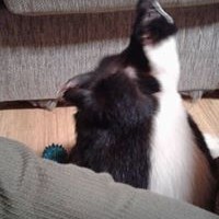 Karen Mabry Huttis - Quora Profile Picture of Karen Mabry Huttis (@karen-mabry-huttis) on Quora