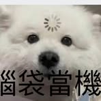 賴柏瑜 - Facebook Profile Picture of 賴柏瑜 (@lai.bai.yu.158679) on Facebook