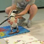 Profile Picture of Josh Huskey (@microvolology) on Instagram