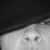 Profile Picture of Lucrecia Allen-guerra (@331928093) on Myspace