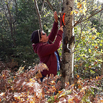 Profile Picture of Carol Anne Kennedy (@carolanne kennedy) on Flickr