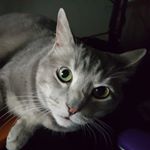 Profile Picture of Jason Meeks (@jason_meekers123) on Instagram