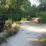 Profile Picture of Jade Colter Hansen (@jadee_a_) on Instagram