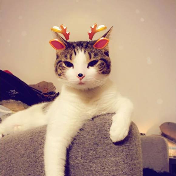 Profile Picture of Allison Larue (@allisonlarue22) on Poshmark