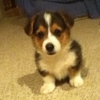 Profile Picture of Matthew Wojciechowsk (@turkin4torMC) on Twitter