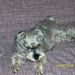 Profile Picture of Gary Scheffel (@bullseyeinspect) on Pinterest