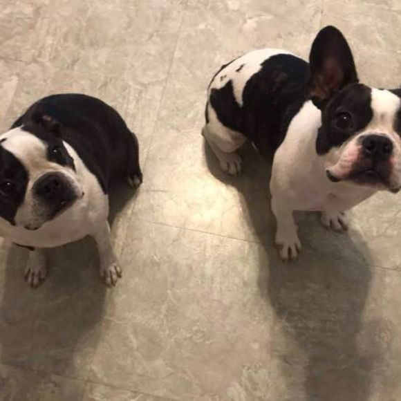 Profile Picture of Pam Jender (@pamelakaye4183) on Poshmark