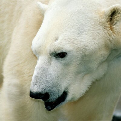 Profile Picture of Ryan Etzen (@etzen_ryan) on Twitter