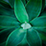 Tamara - Flickr Profile Picture of Tamara (@snapper tam) on Flickr