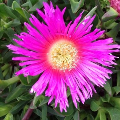 Profile Picture of Helen Gregory (@HelenGregory18) on Twitter