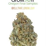 Profile Picture of Eli McLean (@eli_that_grow_guy) on Instagram