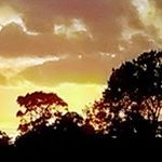 Profile Picture of Joshua Mattern (@mattern.joshua) on Instagram