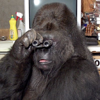 Profile Picture of Richie Blevins (@RambleOnSean) on Twitter