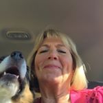 Profile Picture of Sheree Reilly (@sheree_reilly) on Instagram
