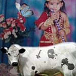 Profile Picture of george_kellum499 (@george_kellum499) on Instagram