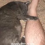 Profile Picture of Joey Arrowood (@arrow_plus_wood_minus_a_w) on Instagram