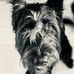 Profile Picture of Cyndi White Larimer (@cyndi.larimer) on Facebook