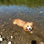 Profile Picture of Avery Hockmeyer (@averyhockmeyer) on Instagram