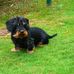 Profile Picture of Doris Brehm (@Doris-Brehm) on Facebook