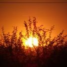 Profile Picture of Gisela Suarez (@gipsuar) on Pinterest