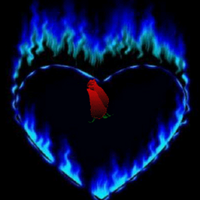 Hilderson  Tavares - Twitter Profile Picture of Hilderson  Tavares (@hilderso1234567) on Twitter