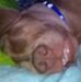 Profile Picture of Ami Keller (@ami.keller.75) on Facebook