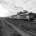 Profile Picture of Tim (@long steel ribbons) on Flickr